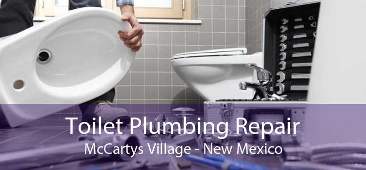 Toilet Plumbing Repair McCartys Village - New Mexico