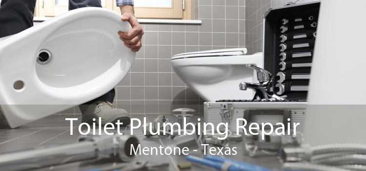 Toilet Plumbing Repair Mentone - Texas
