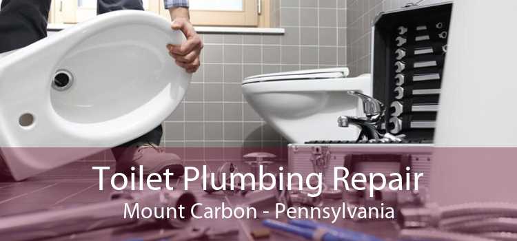 Toilet Plumbing Repair Mount Carbon - Pennsylvania