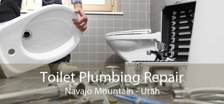 Toilet Plumbing Repair Navajo Mountain - Utah