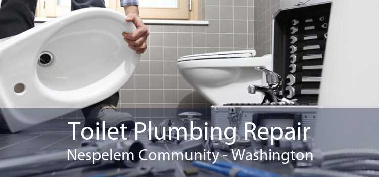 Toilet Plumbing Repair Nespelem Community - Washington