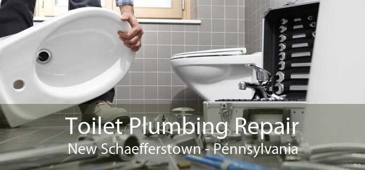 Toilet Plumbing Repair New Schaefferstown - Pennsylvania