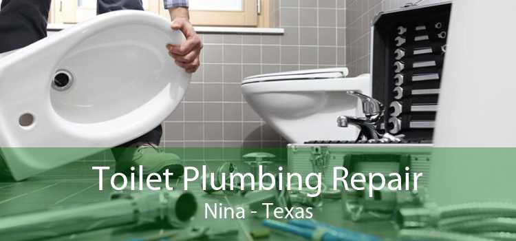 Toilet Plumbing Repair Nina - Texas