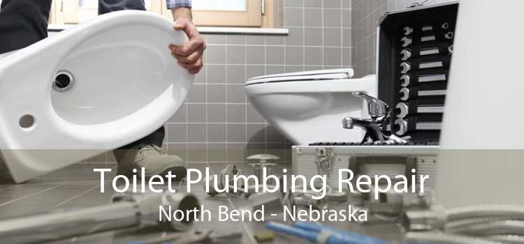 Toilet Plumbing Repair North Bend - Nebraska