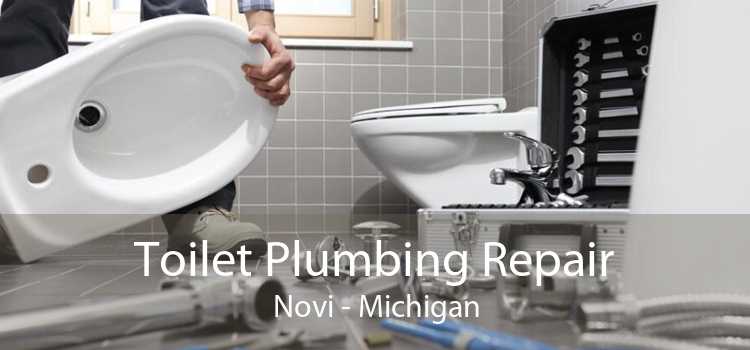 Toilet Plumbing Repair Novi - Michigan