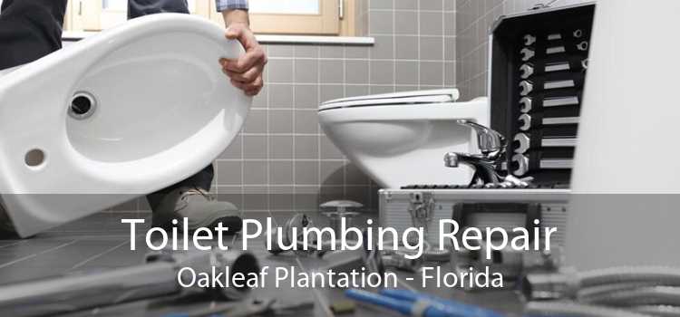 Toilet Plumbing Repair Oakleaf Plantation - Florida