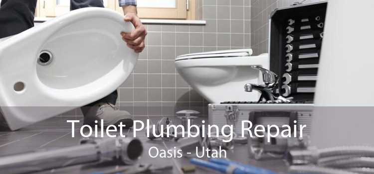 Toilet Plumbing Repair Oasis - Utah
