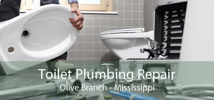 Toilet Plumbing Repair Olive Branch - Mississippi