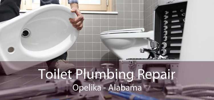 Toilet Plumbing Repair Opelika - Alabama