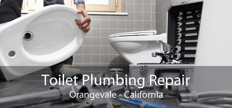 Toilet Plumbing Repair Orangevale - California