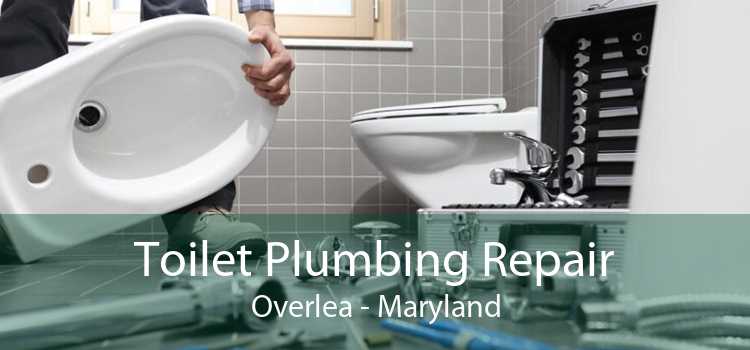 Toilet Plumbing Repair Overlea - Maryland