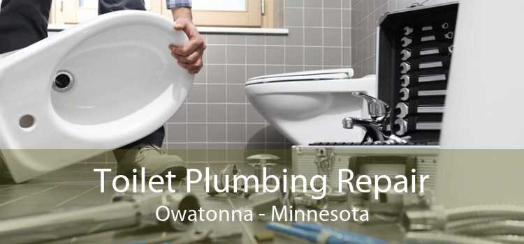 Toilet Plumbing Repair Owatonna - Minnesota
