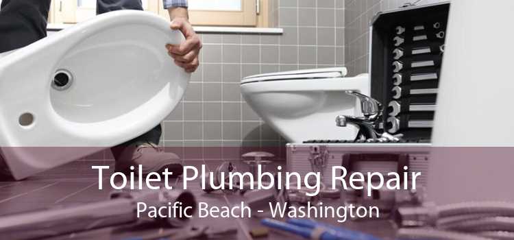 Toilet Plumbing Repair Pacific Beach - Washington