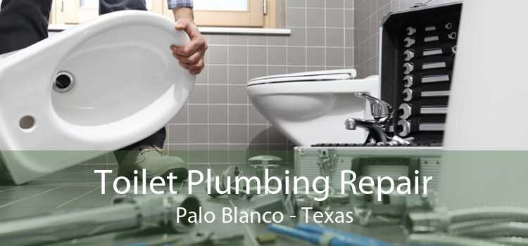 Toilet Plumbing Repair Palo Blanco - Texas