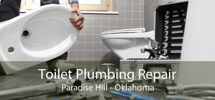 Toilet Plumbing Repair Paradise Hill - Oklahoma