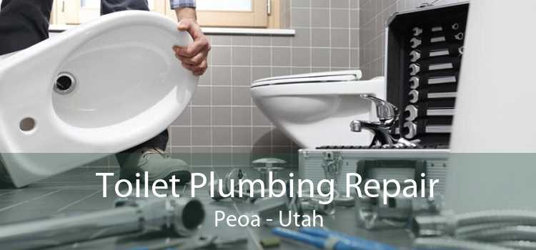 Toilet Plumbing Repair Peoa - Utah