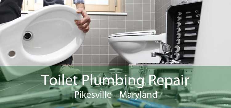 Toilet Plumbing Repair Pikesville - Maryland