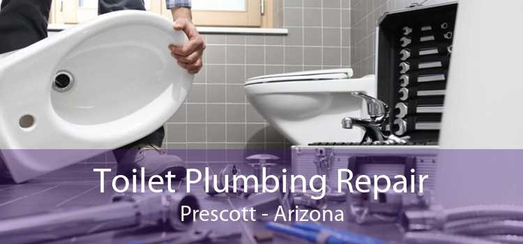 Toilet Plumbing Repair Prescott - Arizona