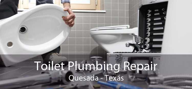 Toilet Plumbing Repair Quesada - Texas
