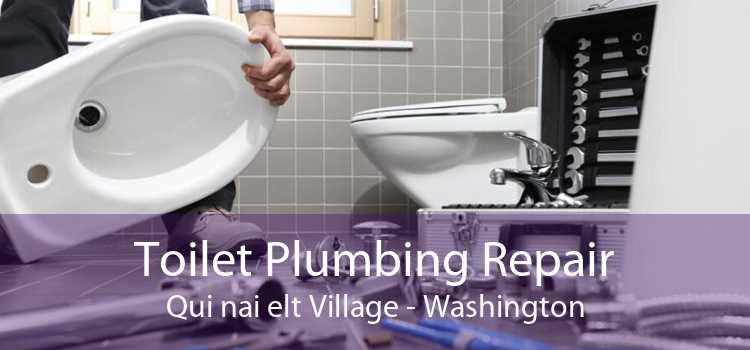 Toilet Plumbing Repair Qui nai elt Village - Washington