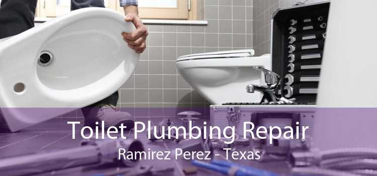 Toilet Plumbing Repair Ramirez Perez - Texas