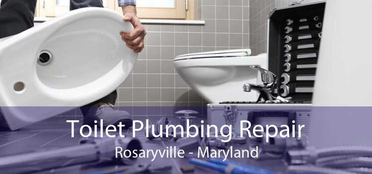 Toilet Plumbing Repair Rosaryville - Maryland