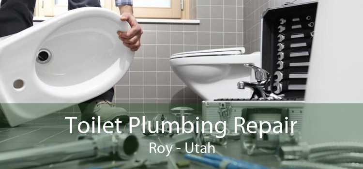 Toilet Plumbing Repair Roy - Utah