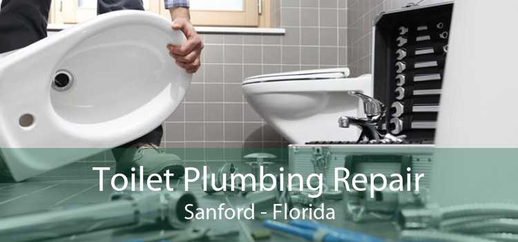 Toilet Plumbing Repair Sanford - Florida
