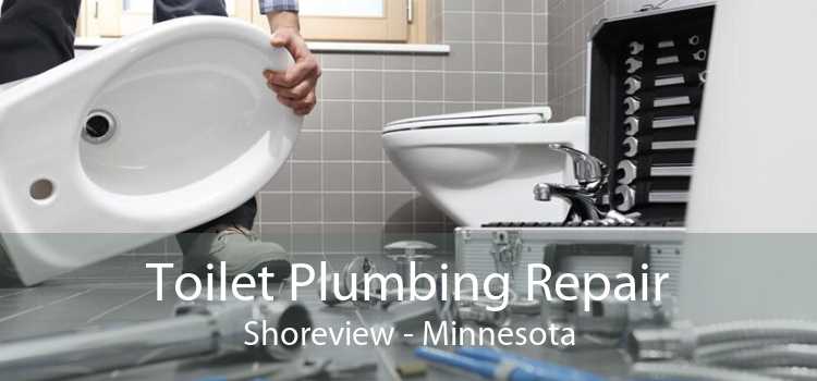 Toilet Plumbing Repair Shoreview - Minnesota