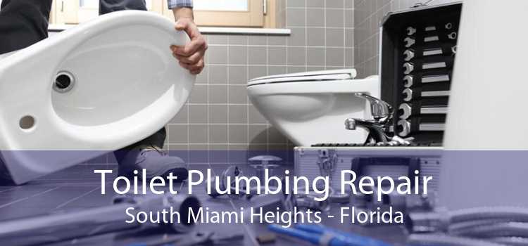 Toilet Plumbing Repair South Miami Heights - Florida
