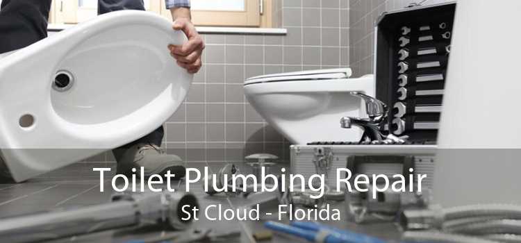 Toilet Plumbing Repair St Cloud - Florida
