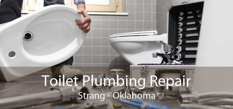 Toilet Plumbing Repair Strang - Oklahoma