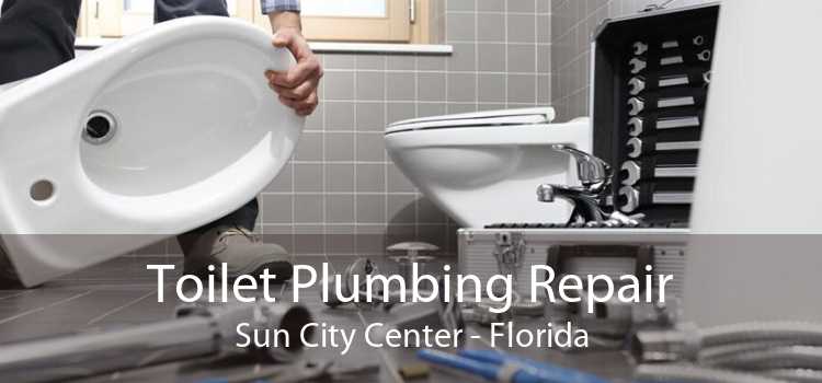 Toilet Plumbing Repair Sun City Center - Florida