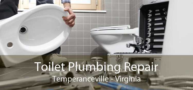 Toilet Plumbing Repair Temperanceville - Virginia