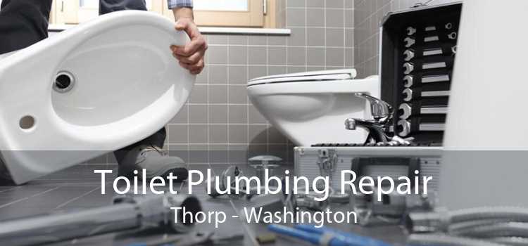 Toilet Plumbing Repair Thorp - Washington
