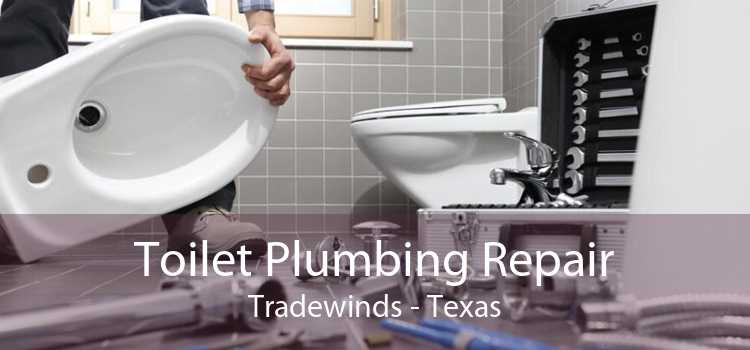 Toilet Plumbing Repair Tradewinds - Texas