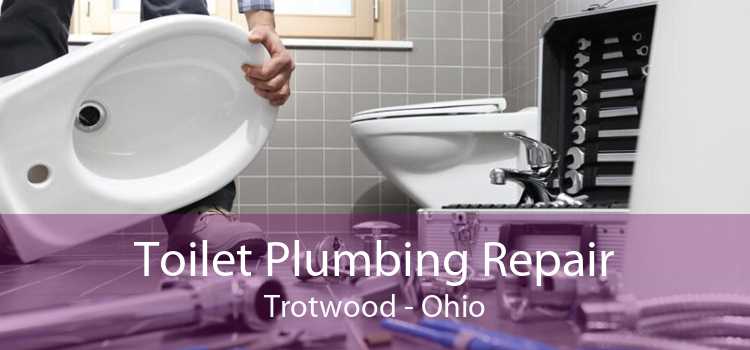 Toilet Plumbing Repair Trotwood - Ohio