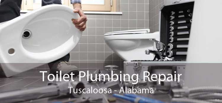 Toilet Plumbing Repair Tuscaloosa - Alabama