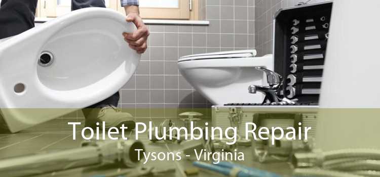 Toilet Plumbing Repair Tysons - Virginia
