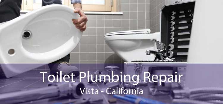 Toilet Plumbing Repair Vista - California