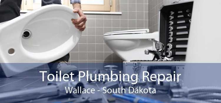 Toilet Plumbing Repair Wallace - South Dakota