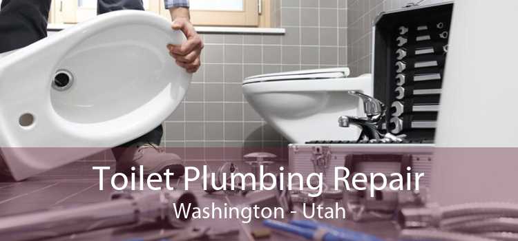 Toilet Plumbing Repair Washington - Utah