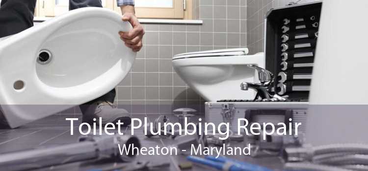 Toilet Plumbing Repair Wheaton - Maryland