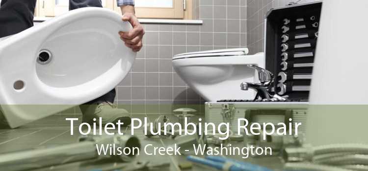 Toilet Plumbing Repair Wilson Creek - Washington