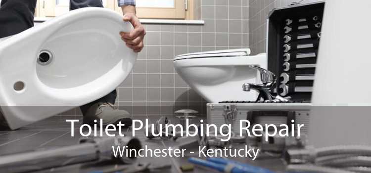 Toilet Plumbing Repair Winchester - Kentucky