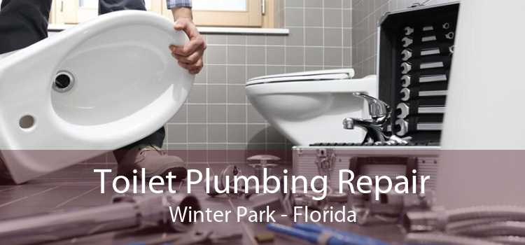 Toilet Plumbing Repair Winter Park - Florida