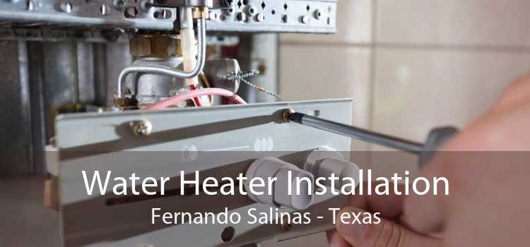 Water Heater Installation Fernando Salinas - Texas