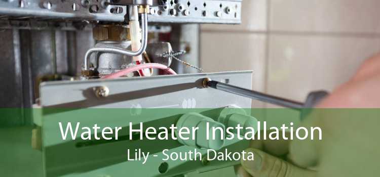 Water Heater Installation Lily - South Dakota